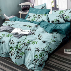 Bedding set SoundSleep Sien satin single 160x215 cm (2251725538011)