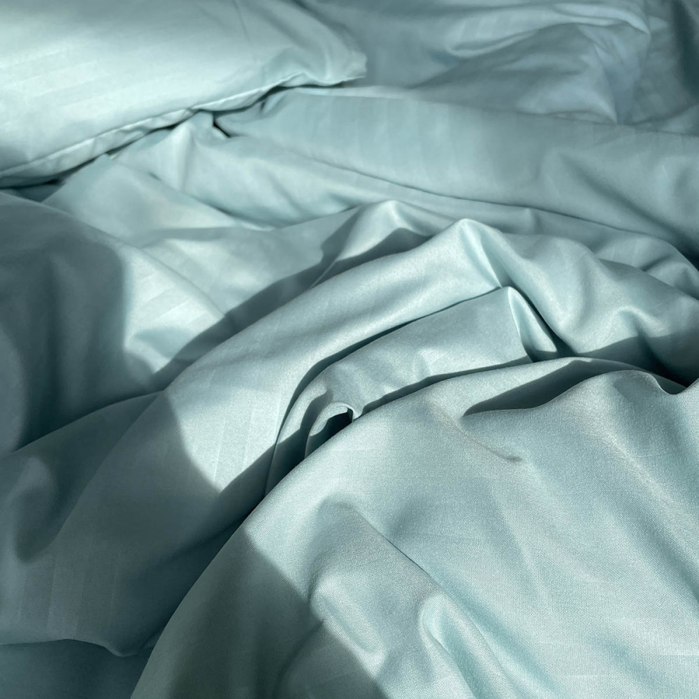 Bed linen set Emily Fiber Marine Stripe Microfiber Euro 200x220 cm Blue (94031119)