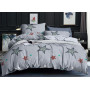 Bedding set SoundSleep Cayson coarse calico for teenagers