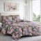 Single bedroom set