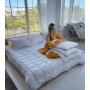 Одеяло демисезонное антиалергенное Нежность ТМ Emily 155х215 см