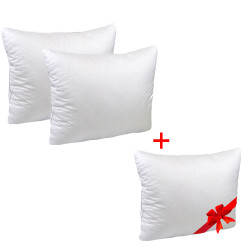 Anti-allergenic pillows set Tenderness Emily 70x70 cm - 3pcs