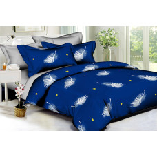 Bed linen set White feathers SoundSleep Polysatin euro