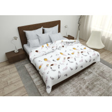 Bed linen set SoundSleep Feathers calico single