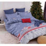SoundSleep Winter Warmth of Winter Dreams Bedding Set Calico family 160x220 cm голубой (2800004904575)