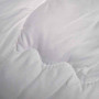 Blanket SoundSleep Dream Demi-season Swan Down 155x210 cm (93255943)