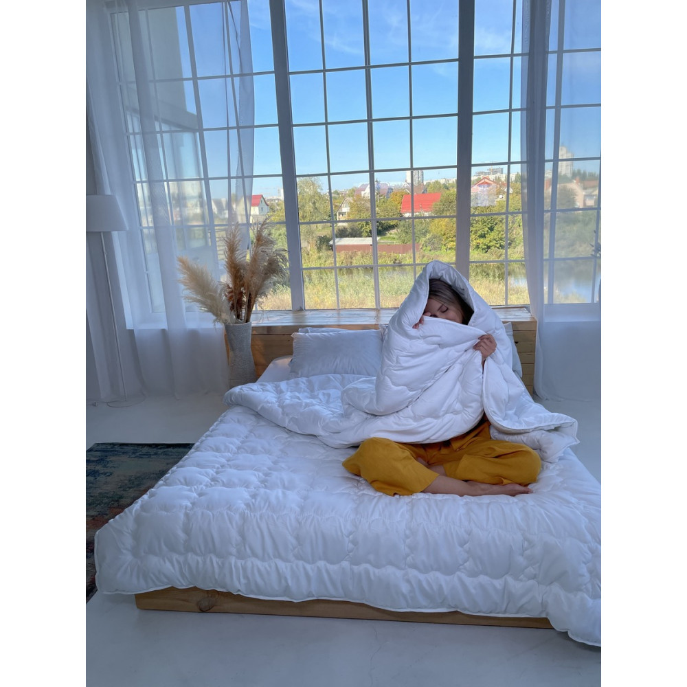 Blanket SoundSleep Dream Demi-season Swan Down 155x210 cm (93255943)