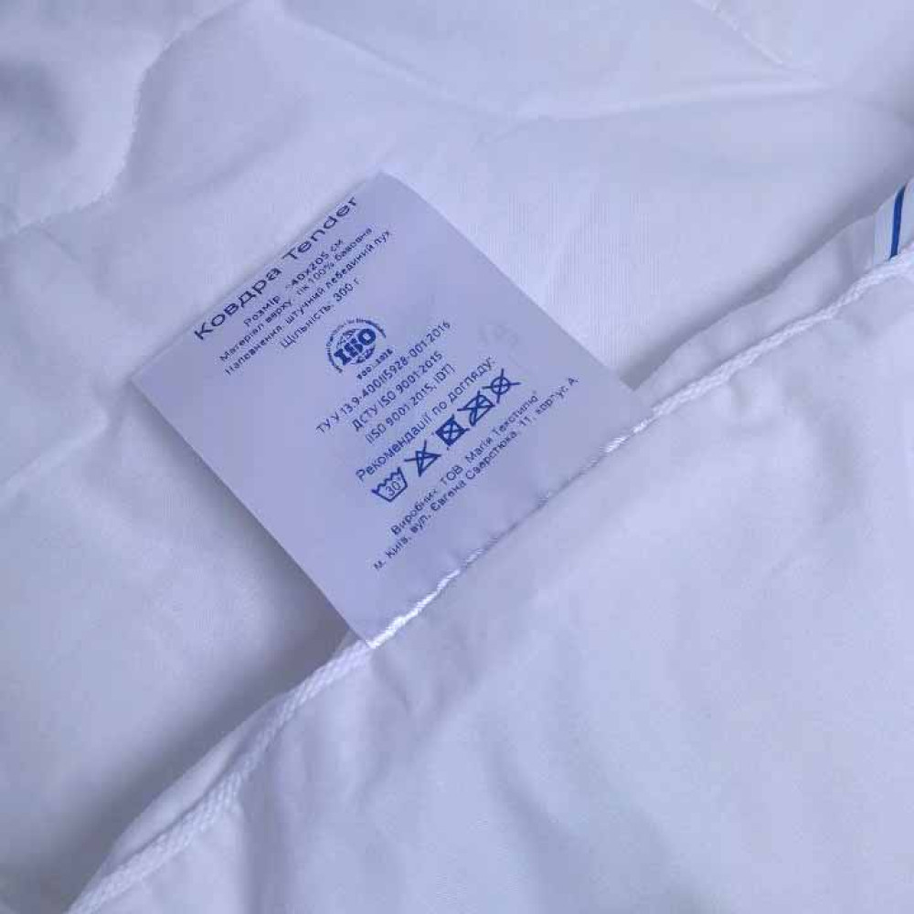 Blanket SoundSleep Dream Demi-season Swan Down tik 200x220 cm (2800004918695)
