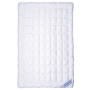 Blanket SoundSleep Dream Demi-season Swan Down tik 200x220 cm (2800004918695)