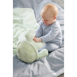 Set Biederlack Dream Team Set Speedy plaid and soft turtle toy 75x100 cm mint (763402)