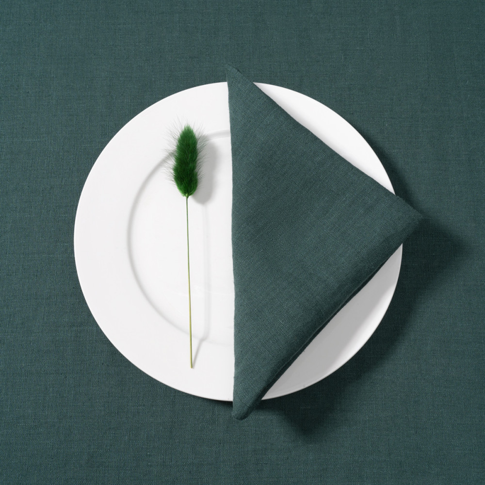 Napkin SoundSleep Linen Style 30x30 cm Green (93864343)