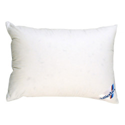 Billerbeck Marta pillow 15% down 60x60 cm white (1510-01/60)