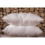 Billerbeck Concerto Germany orthopedic pillow 50x70 cm white (51903278)