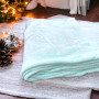 Fleece blanket Comfort ТМ Emily mint 150x150 cm